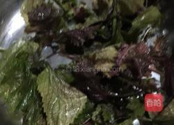 苦瓜焖鸭的做法图解3