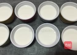 自制酸奶水果的做法图解10