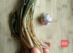炒酸菜的做法图解1