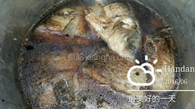 将配好的料汁儿倒入，加水，刚漫过鱼即可。开始炖，大火煮开，中火泚汽20分钟即可。