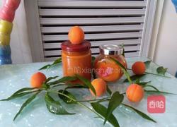 自制杏子果酱的做法图解6