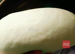 素三鲜水煎包的做法图解3