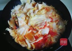 西红柿炖白菜豆腐的做法图解9
