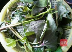 蒜香红薯叶的做法图解1