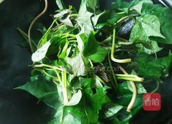 蒜香红薯叶的做法图解5