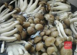 清炒蟹味菇的做法图解1