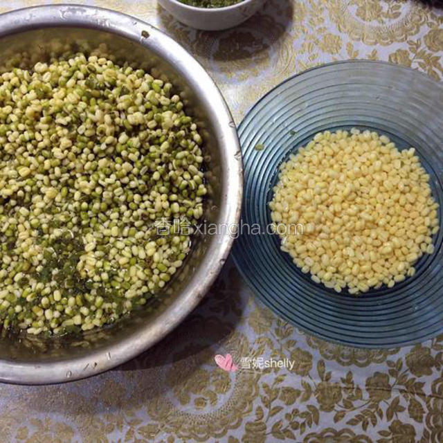 泡好的绿豆皮已开裂，可以开始去皮了。