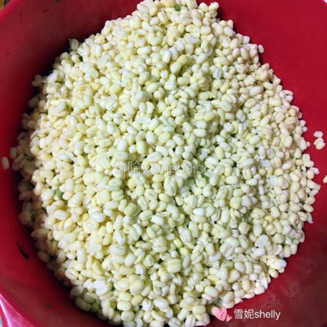 全部去好皮的绿豆。