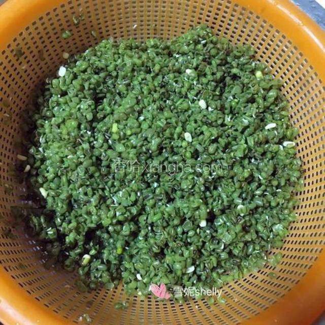 这是已经分离的绿豆皮。