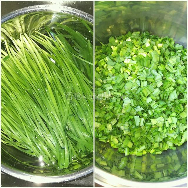 韭菜摘洗干净控水