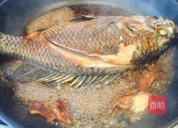 红烧罗非鱼的做法图解5