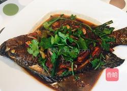 红烧罗非鱼的做法图解9