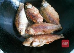 红烧小鲫鱼的做法图解5