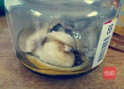 冰镇香花水果奶昔蜜的做法图解14