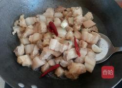 红烧肉炖土豆的做法图解4