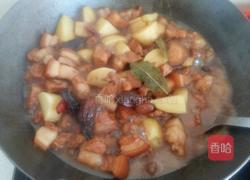红烧肉炖土豆的做法图解8
