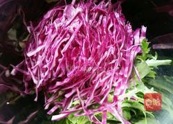 凉拌苦菊紫甘蓝的做法图解3