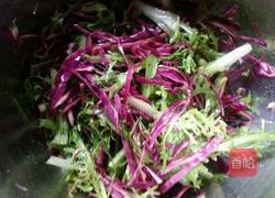 凉拌苦菊紫甘蓝的做法图解6