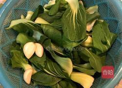 清炒上海青的做法图解1