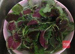 蒜炒苋菜的做法图解2