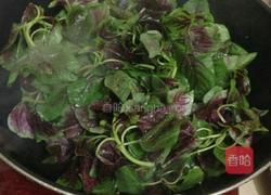 蒜炒苋菜的做法图解5