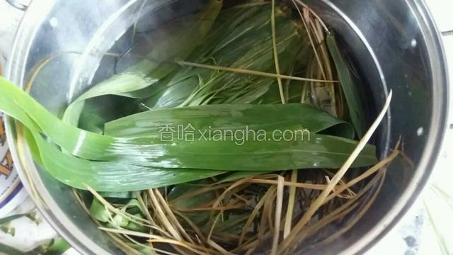 提前把粽叶煮好。