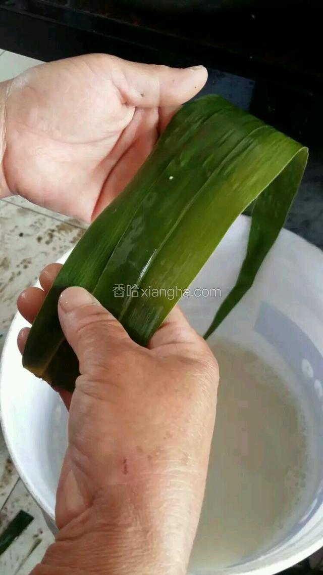 拿两片粽叶