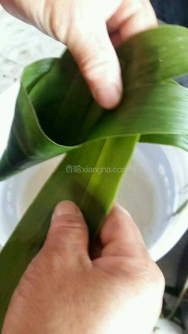 拿一片粽叶斜着夹在两片粽叶中间向左边转一圈