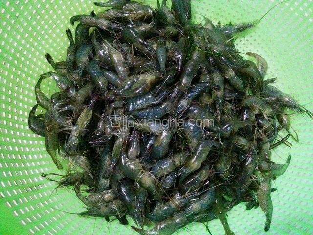 准备好新鲜的小河虾，清洗干净