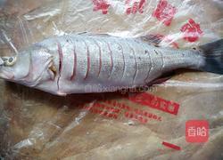 红烧鲁子鱼的做法图解1