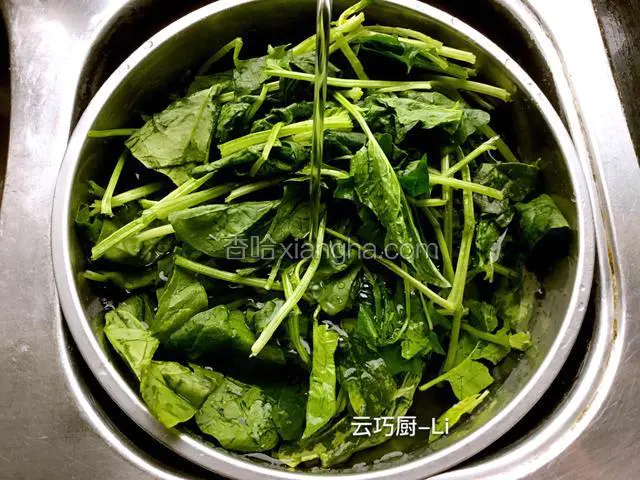 菠菜去根清洗干净。控干水分。