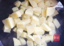 土豆烧鸡的做法图解4