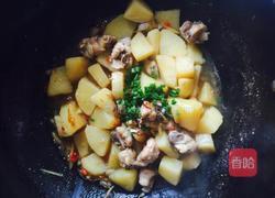 土豆烧鸡的做法图解11
