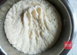 黄瓜包子的做法图解13