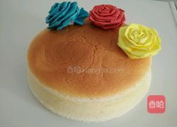 酸奶蛋糕的做法图解16