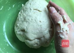 豆角胡萝卜肉包的做法图解1