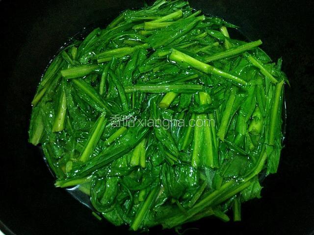 苦麦菜焯水、滴几滴油保持苦麦菜绿油、捞起沥干水份