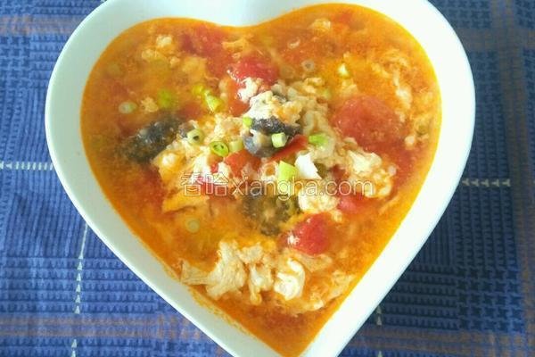 西红柿海参汤的做法