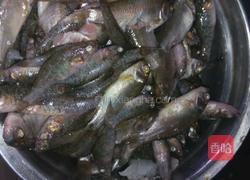 鱼酱的做法图解1