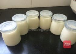电饭煲做酸奶的做法图解5