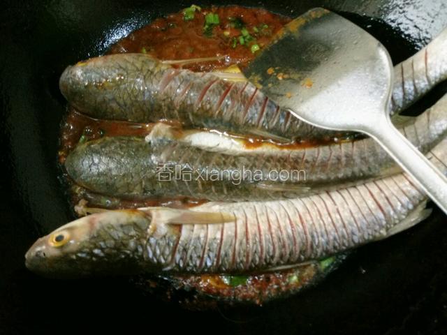 放入鱼