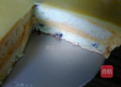 酸奶芒果慕斯蛋糕的做法图解15