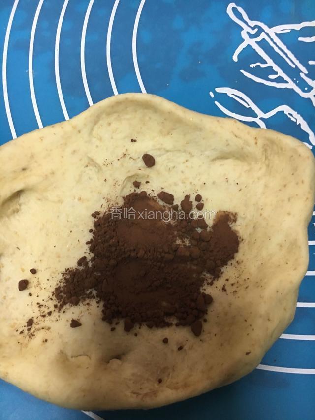 一团加入可可粉揉均匀