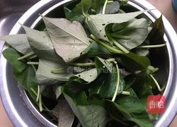酸笋炒红薯叶的做法图解1