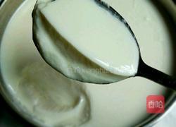 自制老酸奶的做法图解4