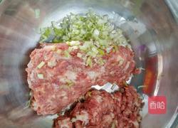 芸豆猪肉水饺的做法图解2
