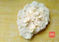 彩色斑纹吐司的做法图解4