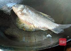 红烧鲫鱼（我老公烧的哦）的做法图解4