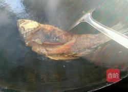 红烧鲫鱼（我老公烧的哦）的做法图解5