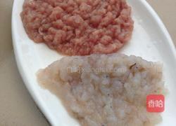 彩虹猪肉虾仁饺的做法图解4